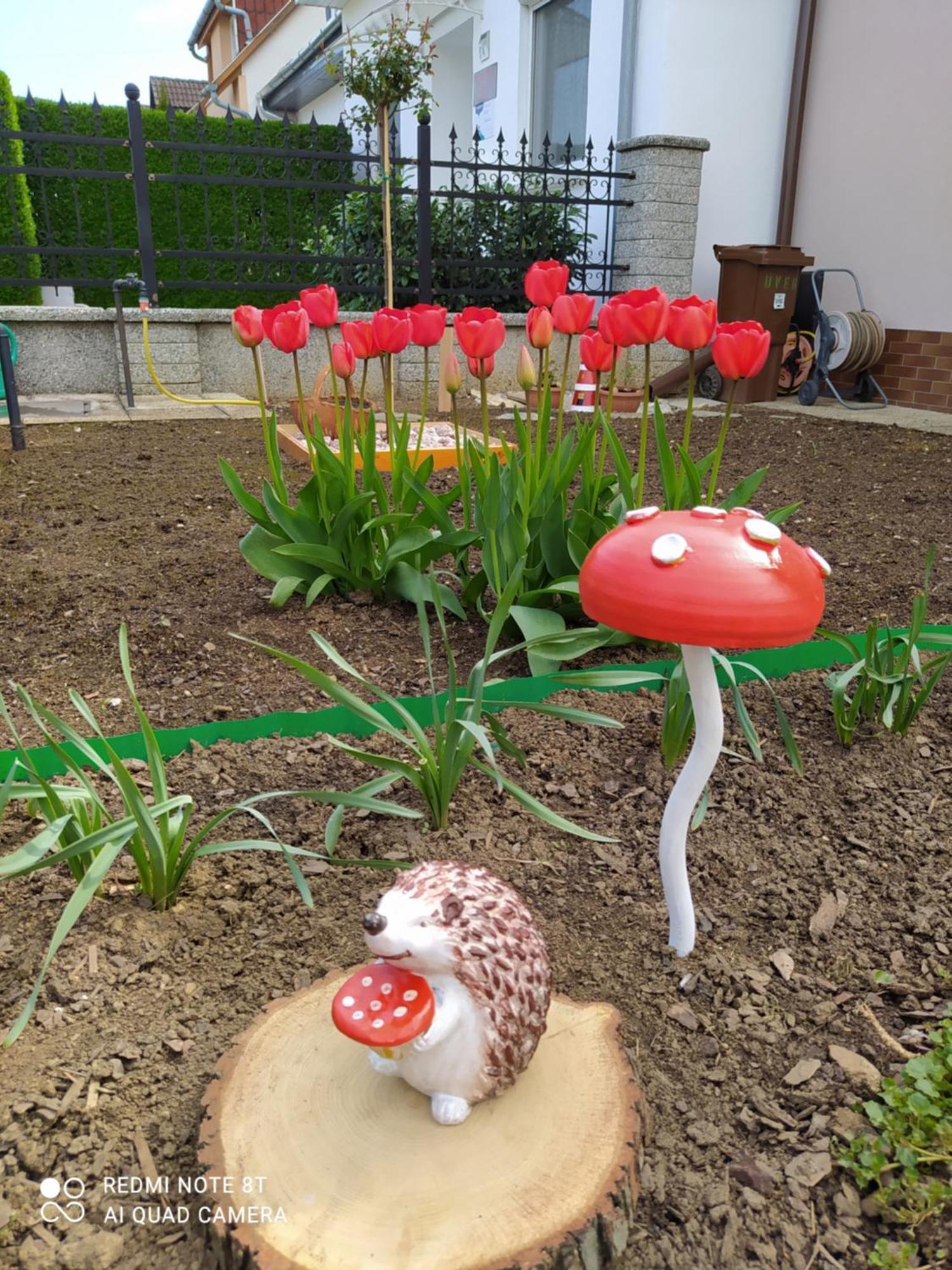 BükG源泉旅馆公寓 外观 照片
